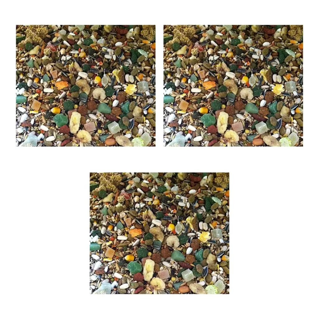Hareco Papegaai Select papegaaienvoer zonder pellets 3 kg – 3 stuks (multipack)