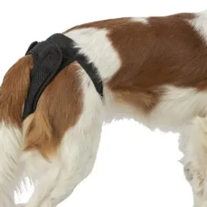 Trixie loopsheidbroekje Comfort mesh zwart XS 22-31 cm – 2 stuks - Afbeelding 7