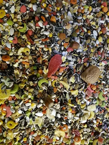 Hareco Ara Select papegaaienvoer met pellets 3 kg – met noten en fruit