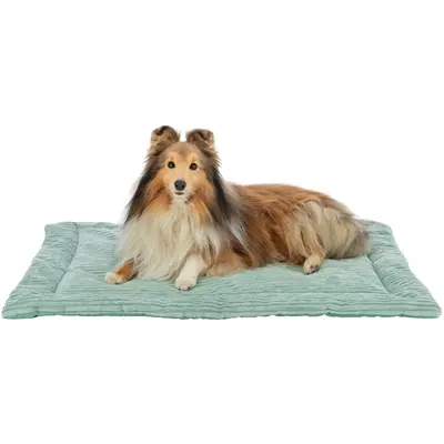 Trixie ligmat Jonna ribfluweel saliegroen 130 x 85 cm – slipvast, wasbaar