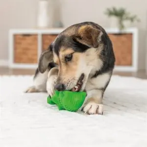 Trixie snackspeeltje krokodil natuurrubber groen 18 cm – 2 stuks - Afbeelding 4