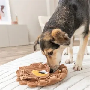Trixie snuffelmat hond Be Eco leeuw gerecycled pluche 26 cm – 2 stuks - Afbeelding 5