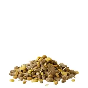 Versele-Laga Crispy Snack met vezels 550 g – knaagdiersnack - Afbeelding 4