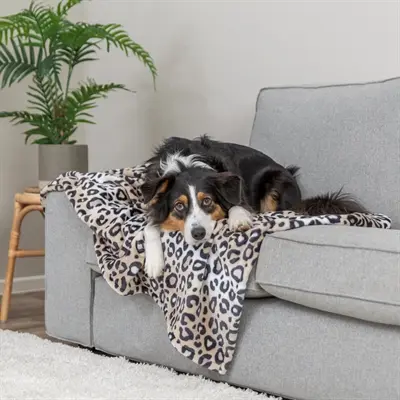 Trixie hondendeken Leo softpluche panterprint crème 150 x 100 cm