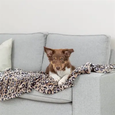 Trixie hondendeken Leo softpluche panterprint bruin 100 x 70 cm