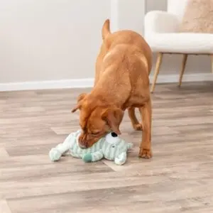 Trixie hondenspeeltje hond met strepen pluche groen 34 cm – met geluid - Afbeelding 5