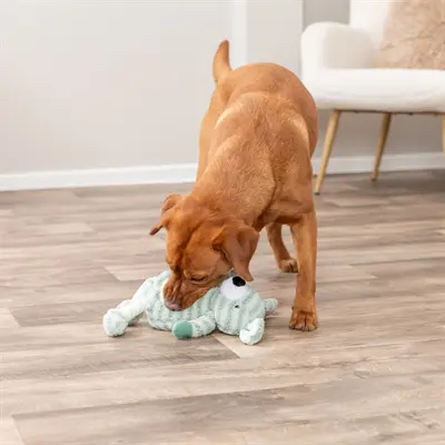 Trixie hondenspeeltje hond met strepen pluche groen 34 cm – met geluid