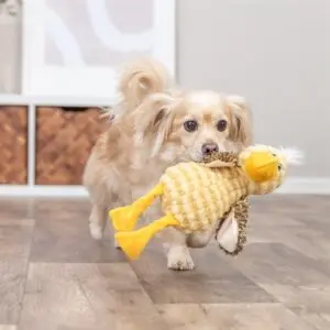 Trixie hondenknuffel vogel pluche geel 38 cm – met geluid - Afbeelding 5