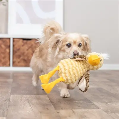Trixie hondenknuffel vogel pluche geel 38 cm – met geluid