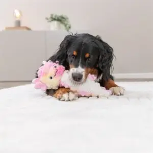Trixie hondenknuffel axolotl pluche roze/meerkleurig 36 cm – ritselt - Afbeelding 6