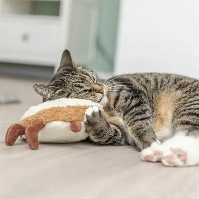 Trixie kattenspeeltje toast XXL pluche met Amerikaanse catnip 18 cm
