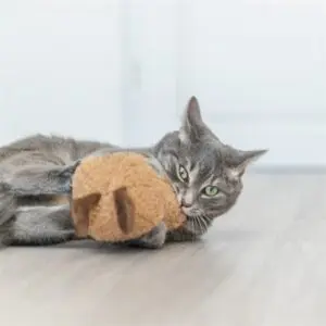 Trixie kattenspeeltje pinda XXL pluche met Amerikaanse catnip 20 cm - Afbeelding 4