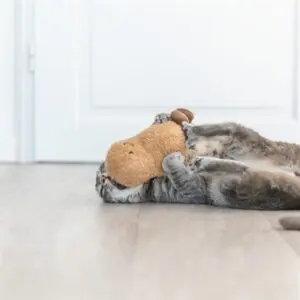 Trixie kattenspeeltje pinda XXL pluche met Amerikaanse catnip 20 cm - Afbeelding 5