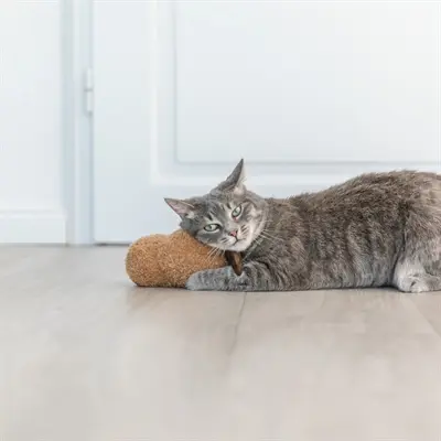 Trixie kattenspeeltje pinda XXL pluche met Amerikaanse catnip 20 cm