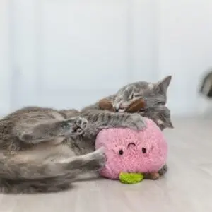 Trixie kattenspeeltje perzik XXL pluche met Amerikaanse catnip 20 cm - Afbeelding 4