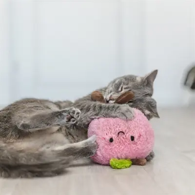 Trixie kattenspeeltje perzik XXL pluche met Amerikaanse catnip 20 cm