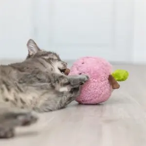 Trixie kattenspeeltje perzik XXL pluche met Amerikaanse catnip 20 cm - Afbeelding 7