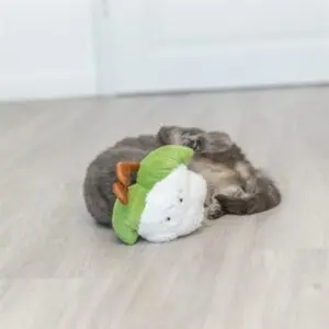 Trixie kattenspeelgoed bloemkool XXL pluche met Amerikaanse catnip 18 cm - Afbeelding 4