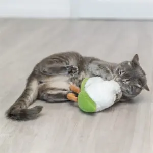 Trixie kattenspeelgoed bloemkool XXL pluche met Amerikaanse catnip 18 cm - Afbeelding 5