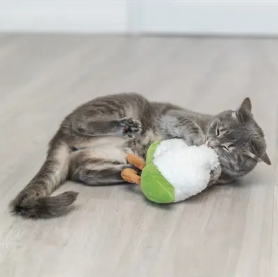 Trixie kattenspeelgoed bloemkool XXL pluche met Amerikaanse catnip 18 cm