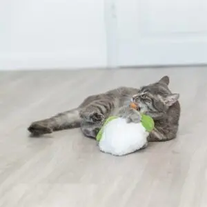 Trixie kattenspeelgoed bloemkool XXL pluche met Amerikaanse catnip 18 cm - Afbeelding 6