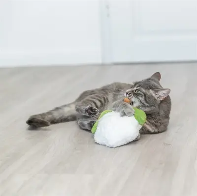 Trixie kattenspeelgoed bloemkool XXL pluche met Amerikaanse catnip 18 cm