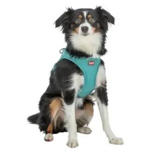 Trixie hondentuig Urbanvest mesh aqua XXS-XS 34-37 x 1,5 cm - Afbeelding 4