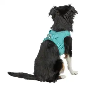 Trixie hondentuig Urbanvest mesh aqua XS 38-41 x 1,5 cm - Afbeelding 5