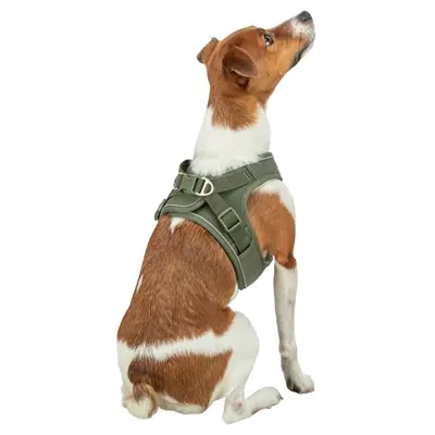 Trixie hondentuig Urbanvest mesh olijfgroen XXS-XS 34-37 x 1,5 cm