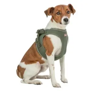 Trixie hondentuig Urbanvest mesh olijfgroen M 58-61 x 2 cm - Afbeelding 4