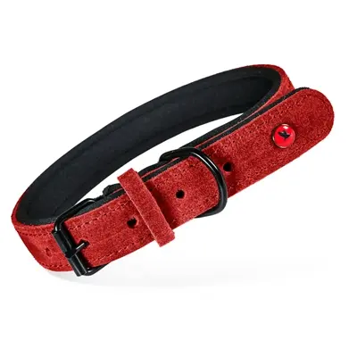 Zolux Expert halsband hond premium leer/neopreen rood 35 x 1,4 cm
