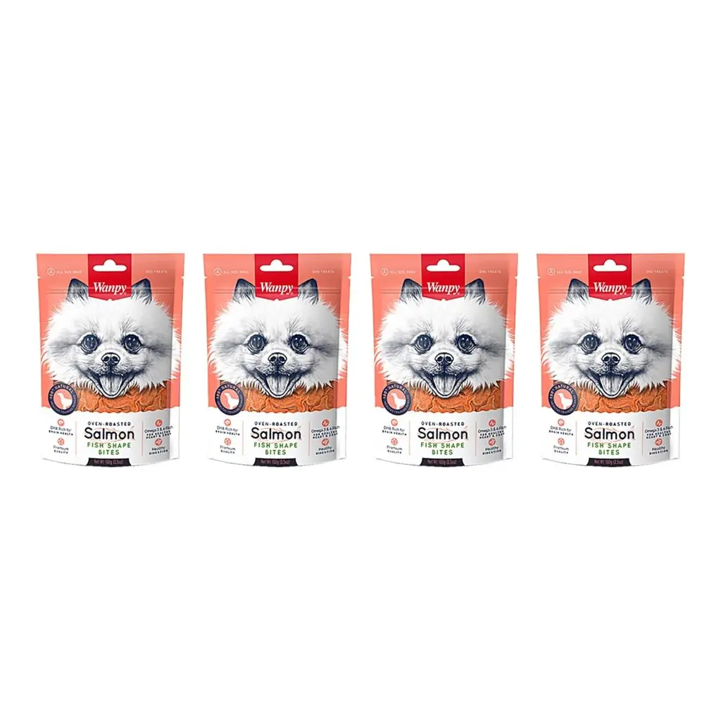 Wanpy hondensnack zalm in visvorm 100 g – multipack 4 stuks