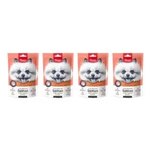 Wanpy hondensnack zalm in visvorm 100 g – multipack 4 stuks - Afbeelding 1