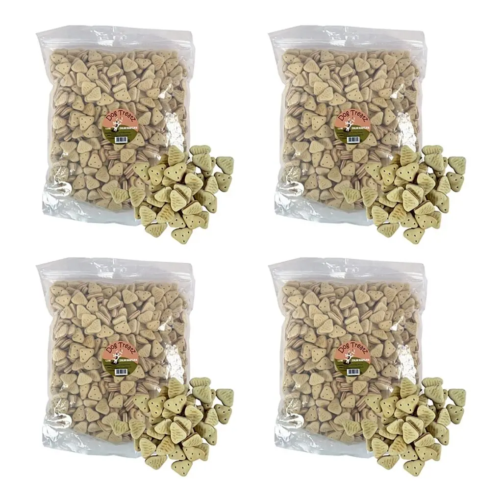 Dog Treatz zalm hartjes 2,5 kg – 4 stuks, krokante hartjes gevuld met zalm (multipack)