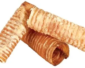 Petsnack buffelslurf 10-12 cm 1 kg – kauwsnack van buffelluchtpijp - Afbeelding 1