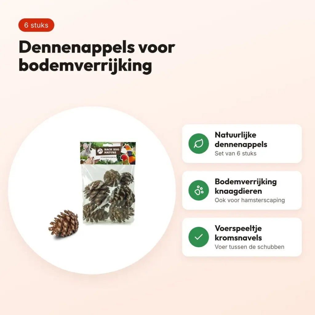 Back Zoo Nature dennenappels 6 stuks – bodemverrijking knaagdieren – voordelen
