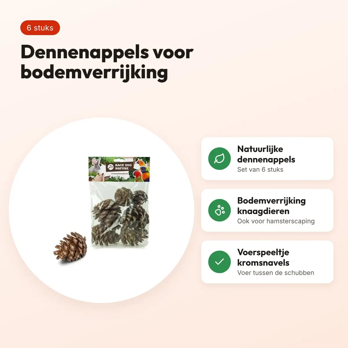 Back Zoo Nature dennenappels 6 stuks – bodemverrijking knaagdieren – voordelen