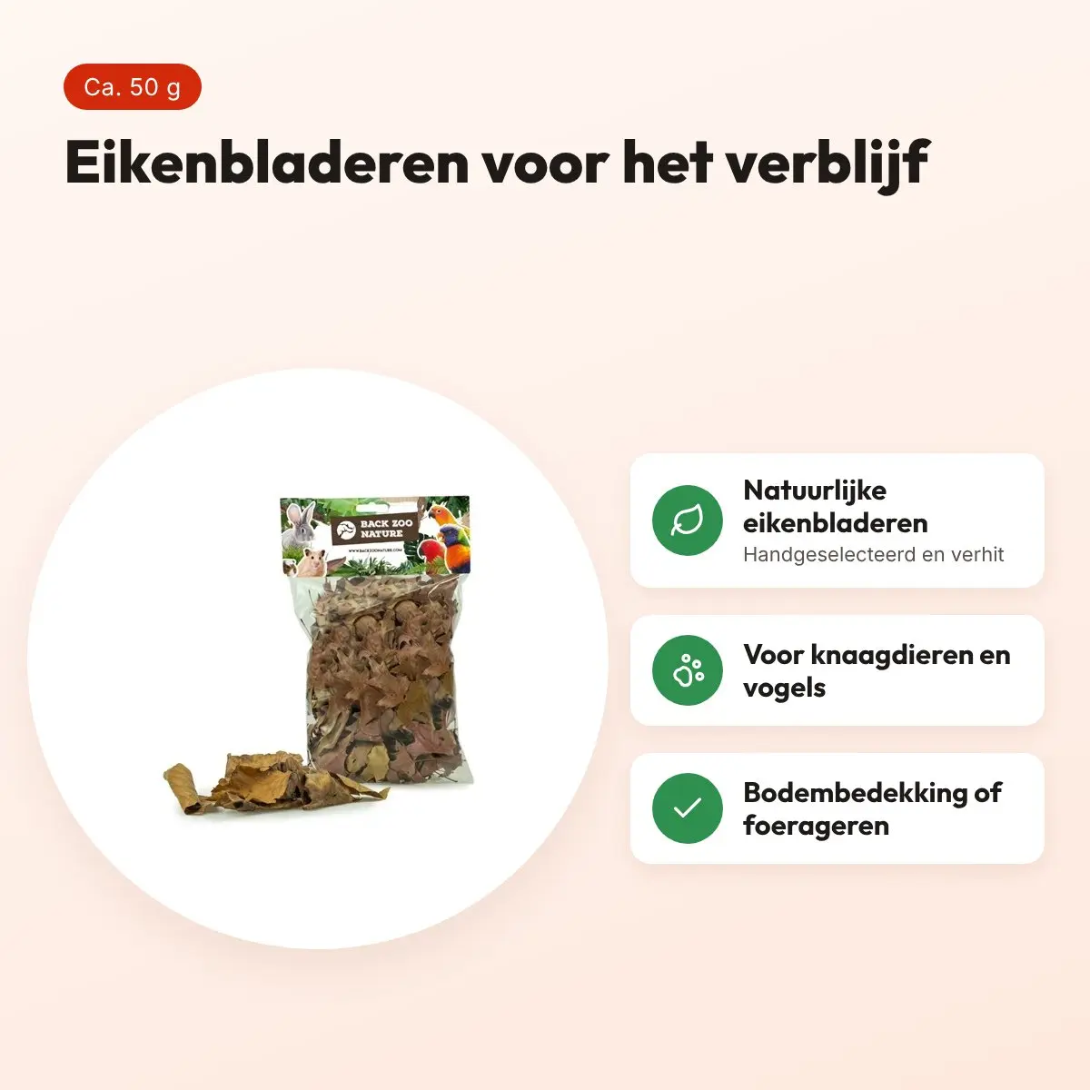 Back Zoo Nature Discovery Leaves 50 g – eikenbladeren voor het verblijf – voordelen