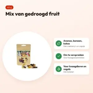 Back Zoo Nature fruit mix 40 g – gedroogd fruit – voordelen