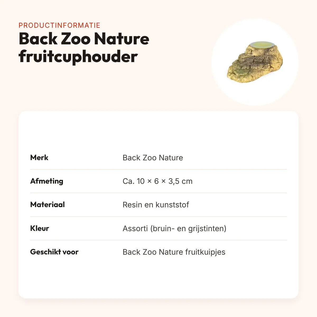 Back Zoo Nature fruitcuphouder stone-look 10 x 6 x 3,5 cm – assorti – productinformatie