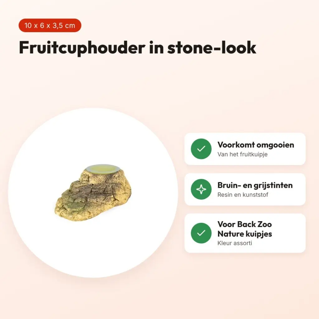 Back Zoo Nature fruitcuphouder stone-look 10 x 6 x 3,5 cm – assorti – voordelen