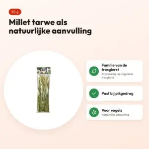 Back Zoo Nature millet tarwe 50 g – natuurlijke aanvulling voor vogels – voordelen