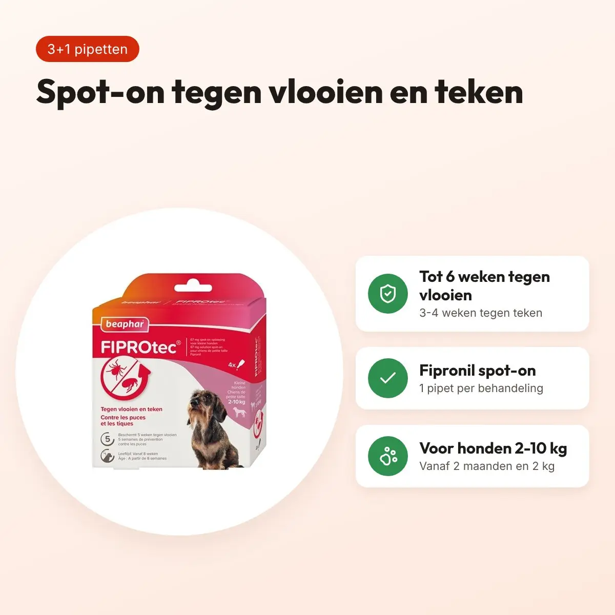 Beaphar Fiprotec spot-on hond 2-10 kg – vlooien en teken, 3+1 pipetten – voordelen