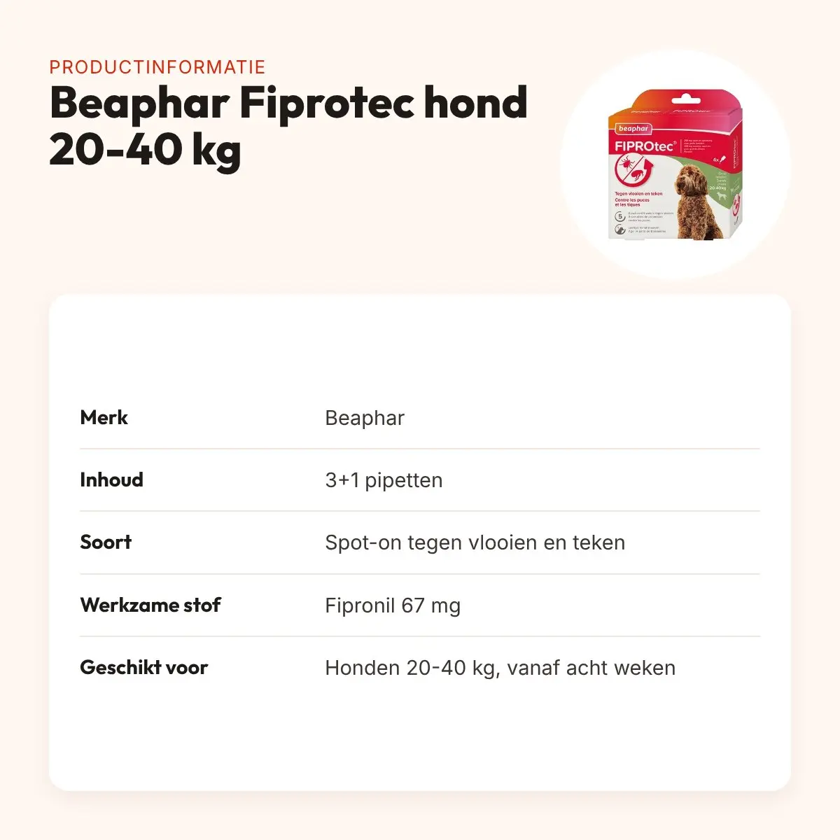 Beaphar Fiprotec spot-on hond 20-40 kg – vlooien en teken, 3+1 pipetten – productinformatie