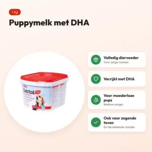 Beaphar Lactol puppymelk 1 kg – met DHA, voor moederloze pups – voordelen
