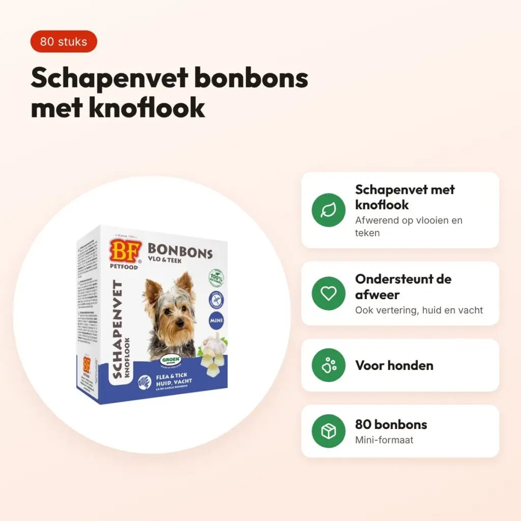 BF Petfood schapenvet bonbons Mini knoflook 80 stuks – voor honden – voordelen