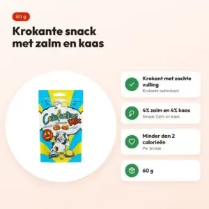 Catisfactions kattensnack zalm en kaas 60 g – krokant met zachte vulling – voordelen