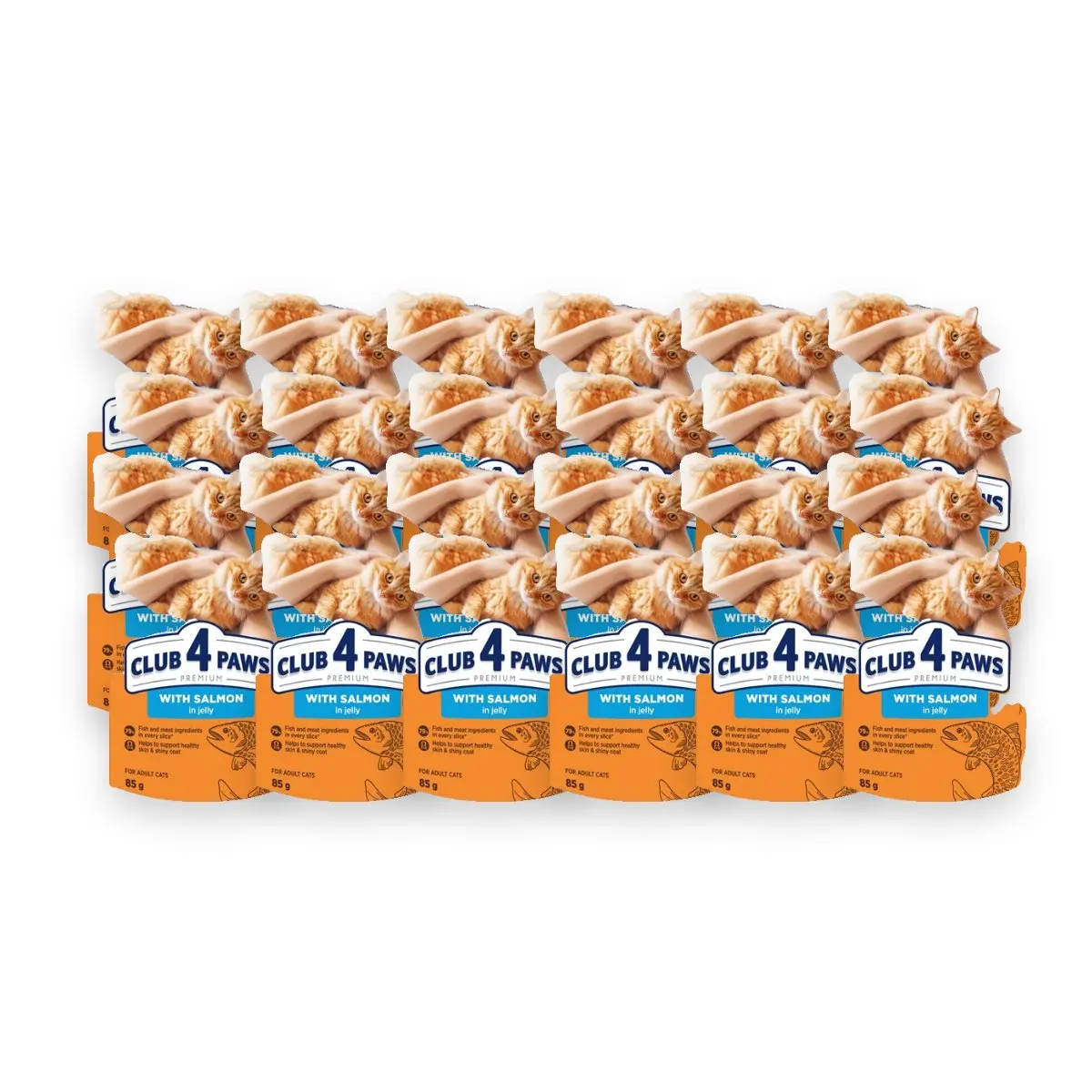 Club 4 Paws kattenvoer Premium Adult zalm in gelei 24 x 85 g