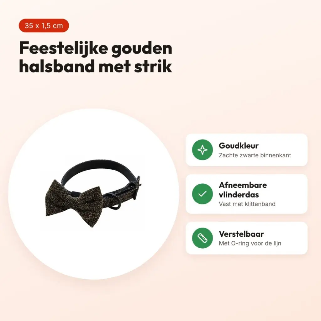 Croci halsband Goldie goud met vlinderdas 35 x 1,5 cm – voordelen