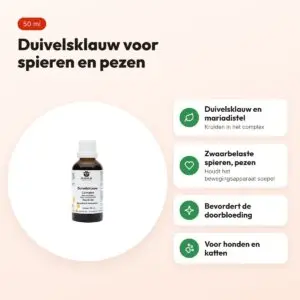 De Groene Os Duivelsklauw Complex 50 ml – bewegingsapparaat, hond en kat – voordelen